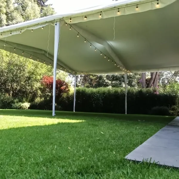 carpas (12)