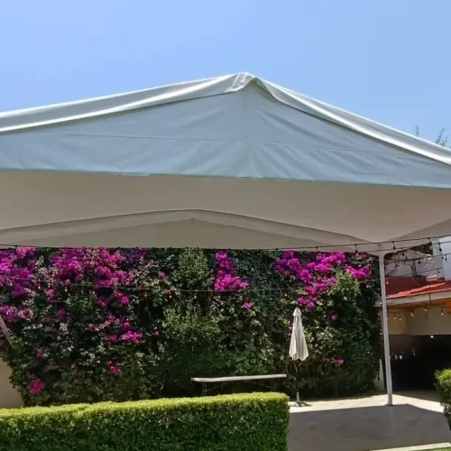 carpas (16)