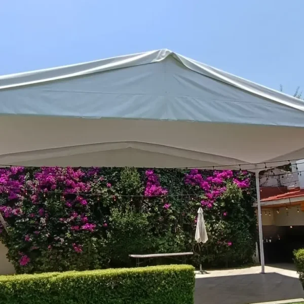 carpas (16)