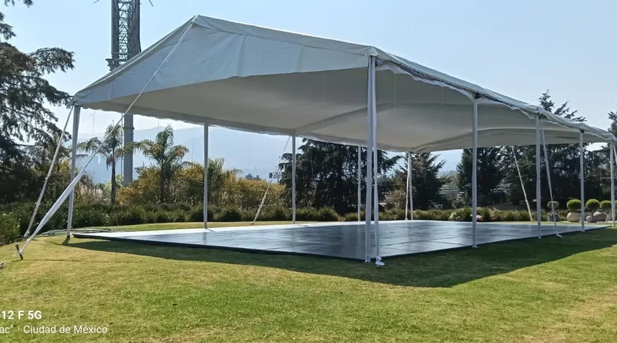 carpas (21)