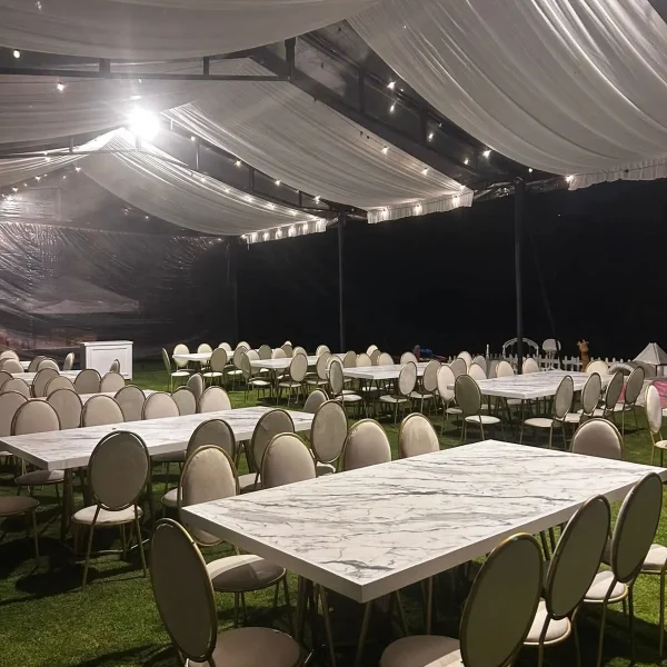 carpas (3)