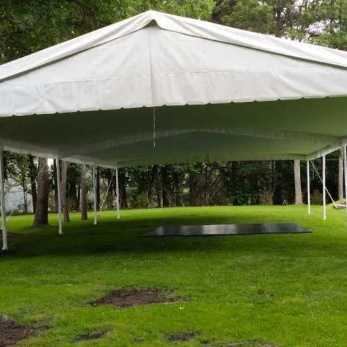 carpas (5)
