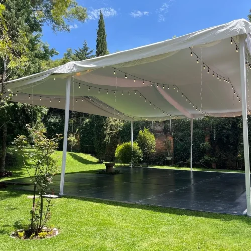 carpas (7)